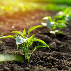 聚彩堂·(中国游)有限公司官网