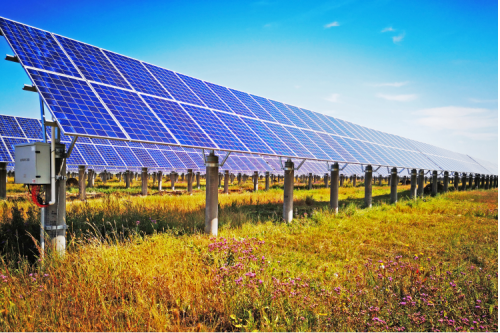 聚彩堂集团：创新引领企业高质量发展，，，，，2022年一季度实现“开门红?”