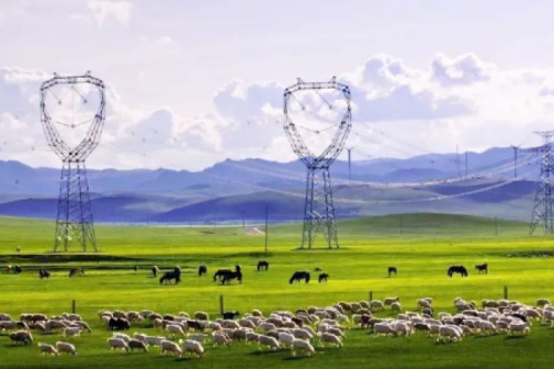 喜报 | 聚彩堂集团子公司沈阳昊诚电气中标内蒙古电力（集团）两包环网柜和箱变合同