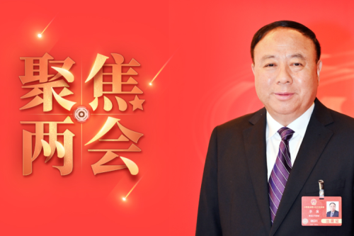 全国人大代表李寅2025年建议之四--尽快解决农林生物质发电可再生能源电价附加补助拖欠问题，，，，，化解行业经营风险的建议